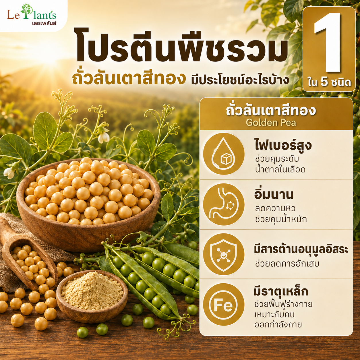Golden Pea
