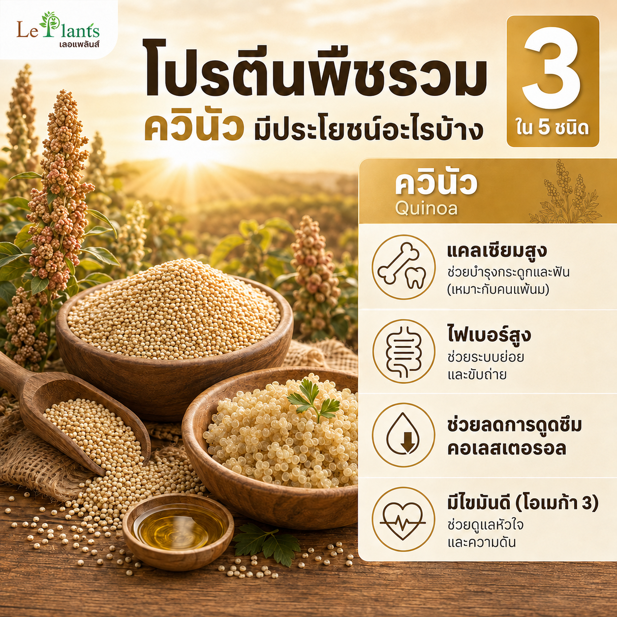 Quinoa