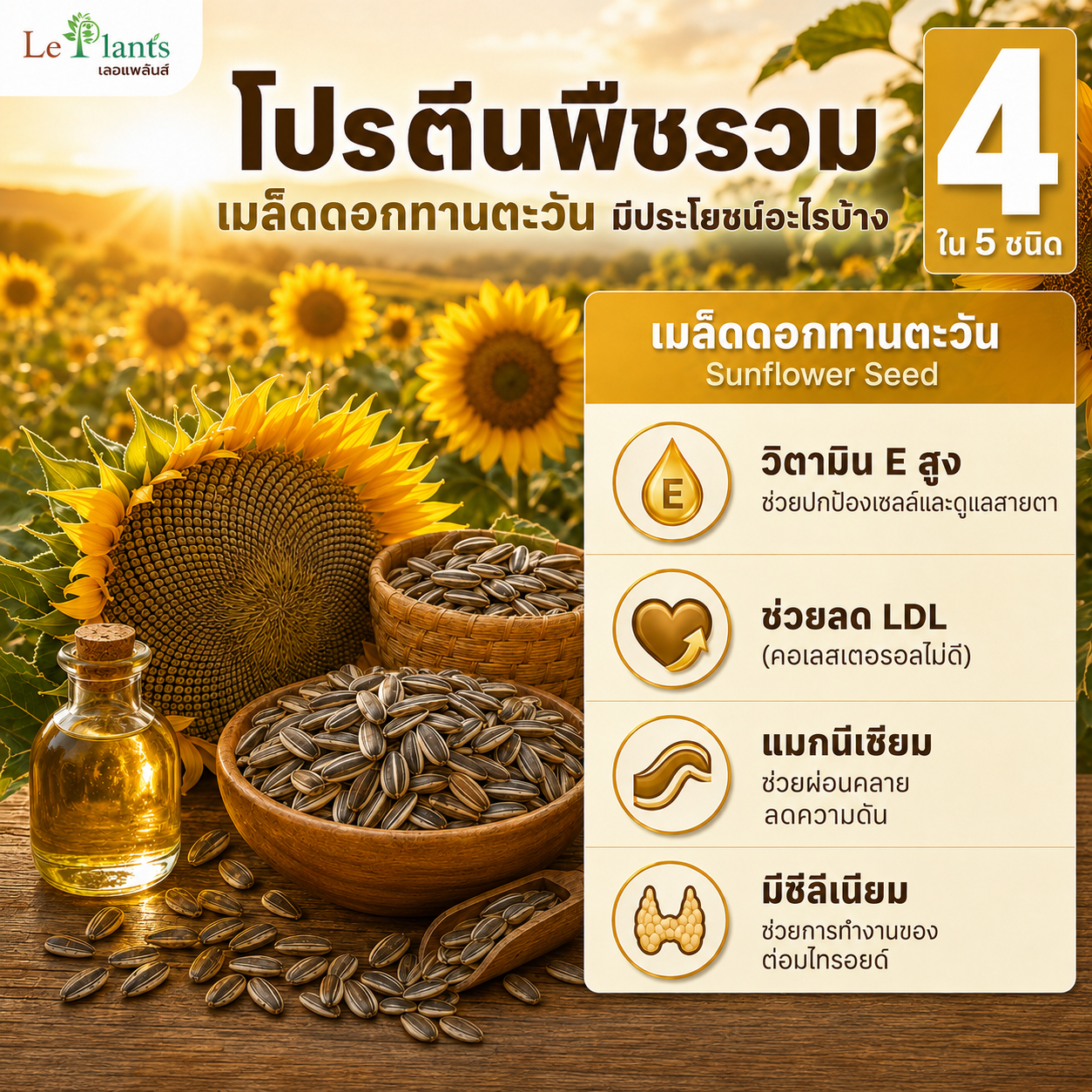 Sunflower Seed