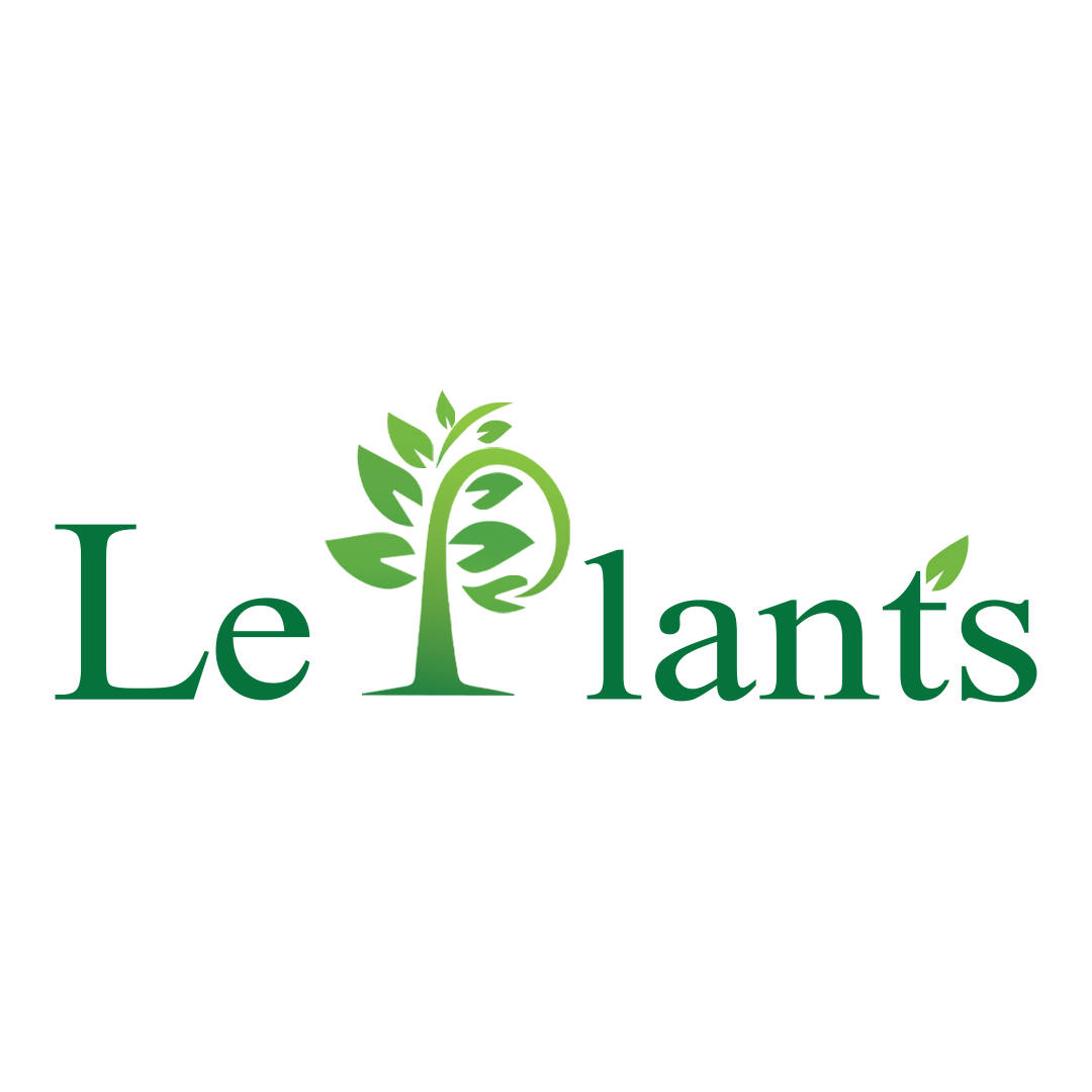 Superfood ingredient reference